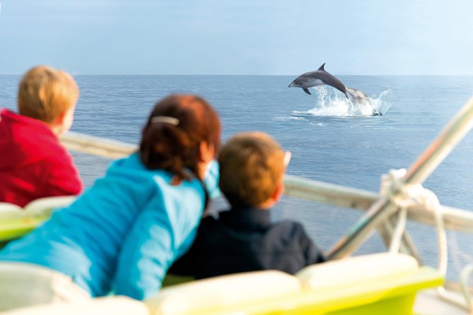 Sunrise Boat Trip in Mallorca with Dolphin-Watching - Searching for dolphins in open water