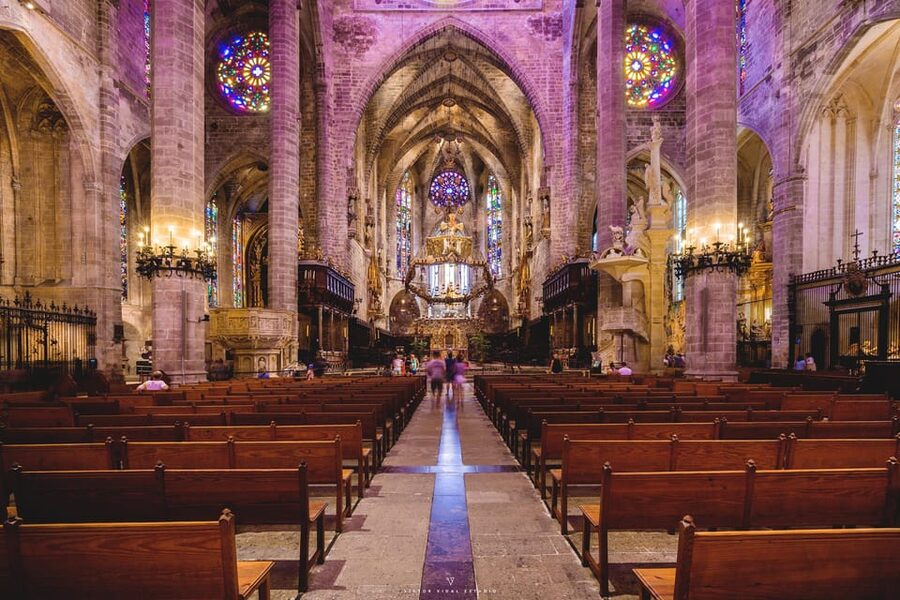 The Best of Palma: Boat trip, Walking tour and Cathedral - Why this Palma combination works