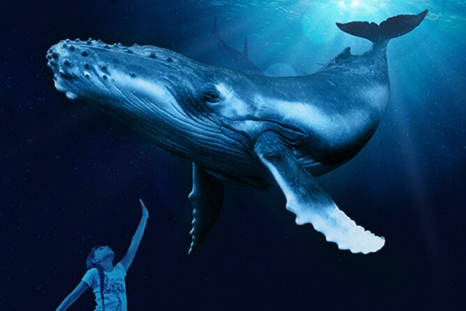 Ticket Palma Aquarium - Is $36.55 a fair price?