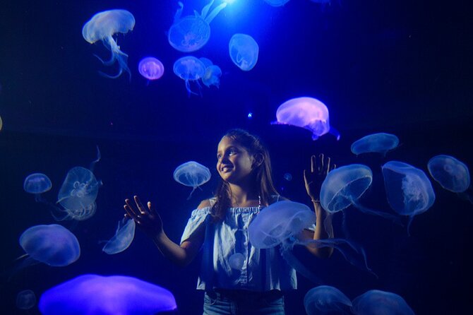 Ticket Palma Aquarium - Who will enjoy Palma Aquarium most?