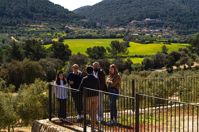 Tour to olive grove and olive mill, oil tasting and snack - Learning to taste extra virgin olive oil
