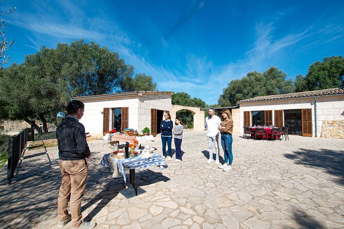 Tour to olive grove and olive mill, oil tasting and snack - What the $59.64 price really buys