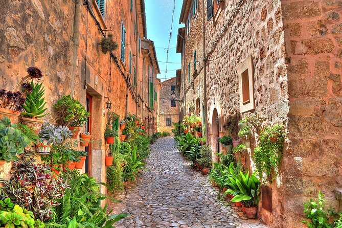 Valldemosa and Valley of Soller Tour in Mallorca - Why this Mallorca day trip works