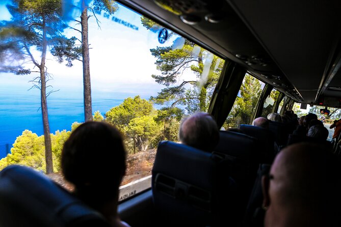 Valldemosa and Valley of Soller Tour in Mallorca - An hour beside the water in Port de Sóller