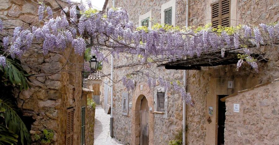 Valldemossa: Discover Valldemossa with a transfer from Palma - Why Valldemossa makes a good short trip from Palma