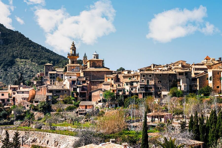 Valldemossa: Discover Valldemossa with a transfer from Palma - Meeting the bus at Parc de la Mar