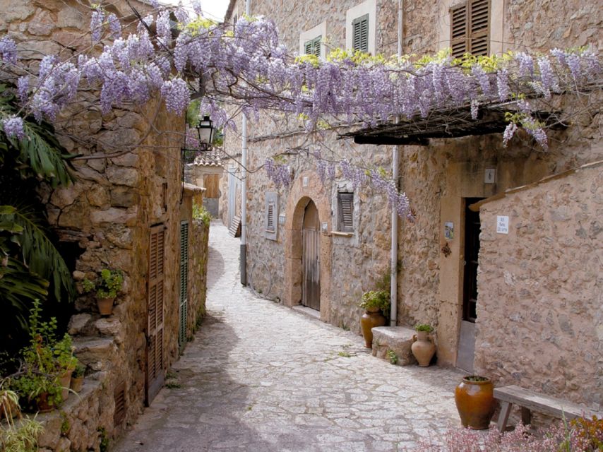 Valldemossa: Discover Valldemossa with a transfer from Palma - The panoramic ride into the Tramuntana