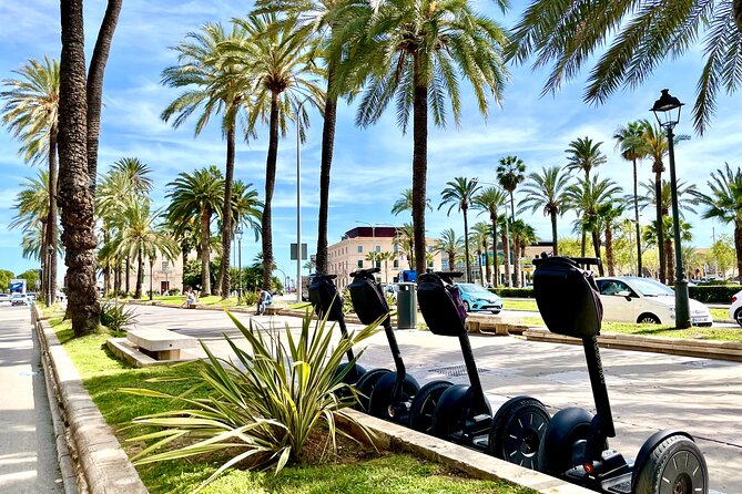 VIP Private Segway Tour of Palma - Parc de la Mar and the open waterfront