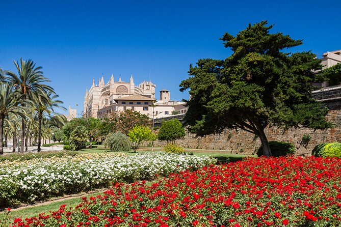 Visit Palma and Valldemossa - Key points to know