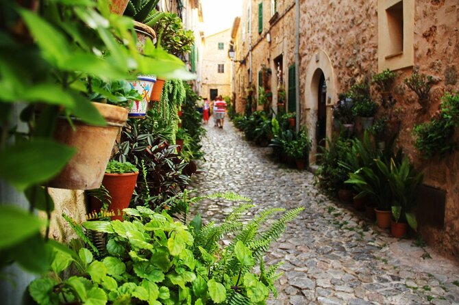Visit Palma and Valldemossa - Coach changes and group management